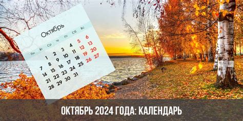 Население Северодонецка по состоянию на октябрь 2024 года